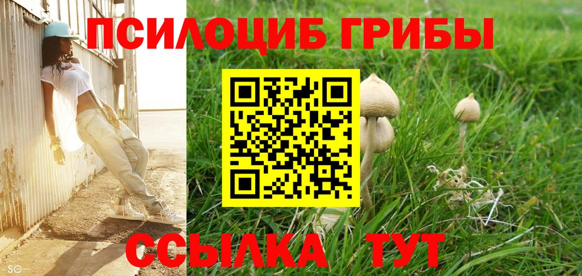 Галлюциногенные грибы ЛСД Сызрань