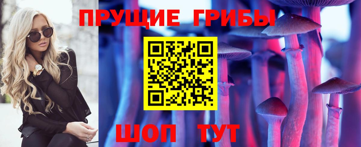 Галлюциногенные грибы Cubensis  Вход с VPN  Сызрань 
